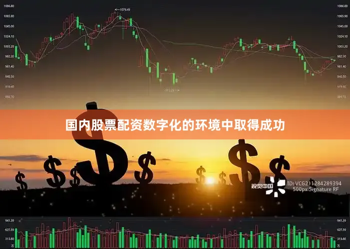 国内股票配资数字化的环境中取得成功