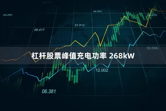 杠杆股票峰值充电功率 268kW