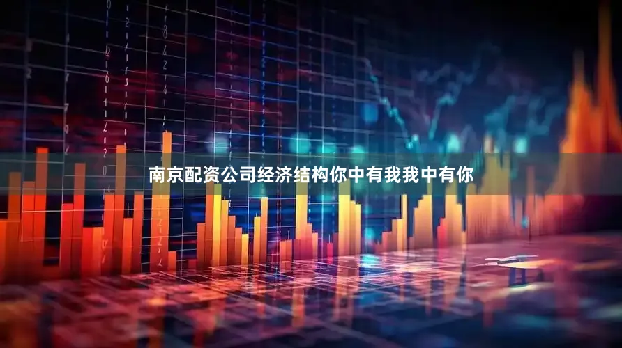 南京配资公司经济结构你中有我我中有你