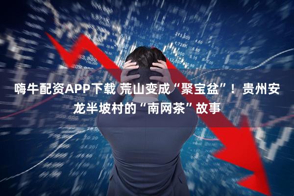 嗨牛配资APP下载 荒山变成“聚宝盆”！贵州安龙半坡村的“南网茶”故事